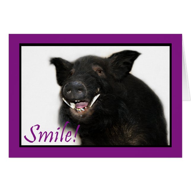 Toothy Hog Smile (Front Horizontal)