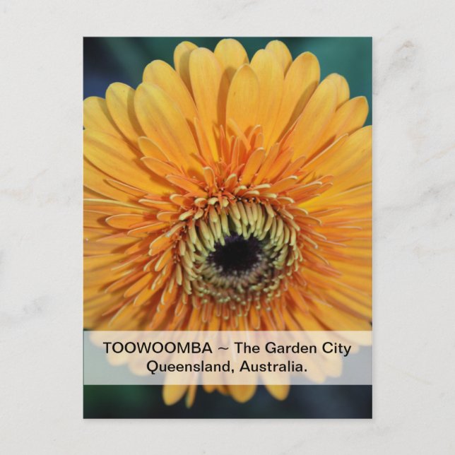 Toowoomba The Garden City Postcard (Front)