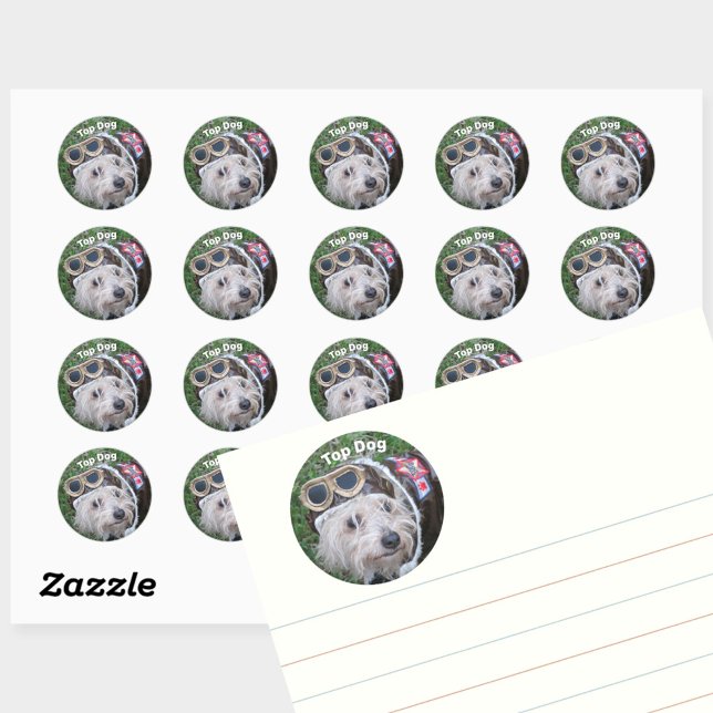 Top Dog Cute Scruffy Puppy Classic Round Sticker (Creator Uploaded)