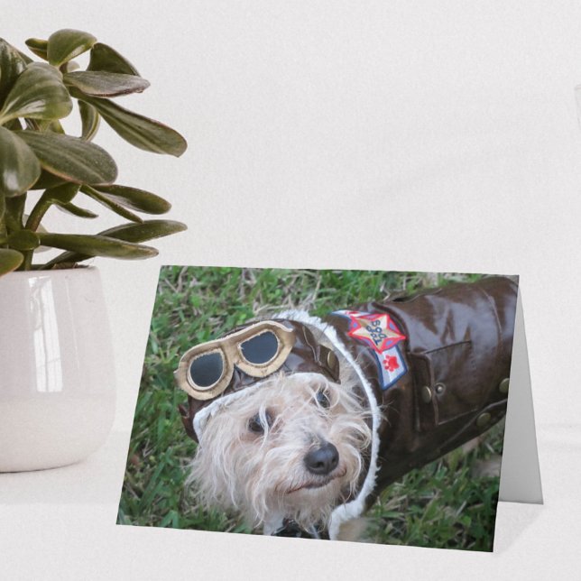 Top Dog in Aviator's Costume Note Card (Creator Uploaded)