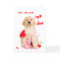 Top Dog Son Golden Retriever Puppy Valentine