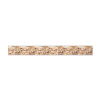 TOP Gymnastics All in One Invitation Belly Band