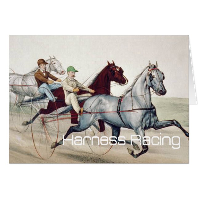 TOP Harness Racing (Front Horizontal)