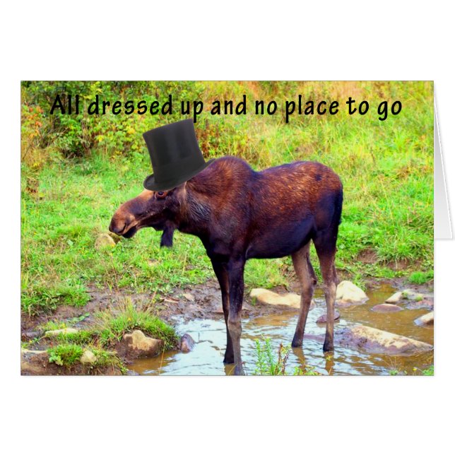 Top Hat Moose (Front Horizontal)