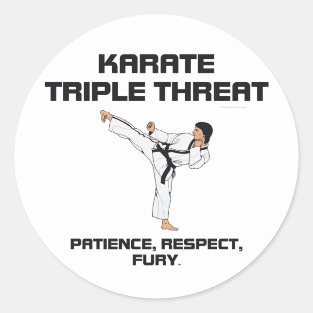 TOP Karate Slogan Classic Round Sticker (Front)