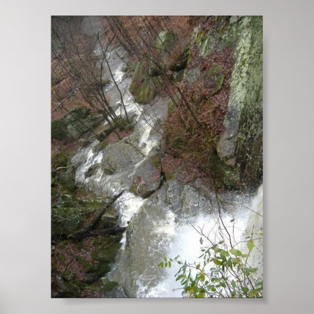 Top of the Falls Poster (Front)