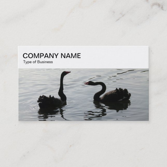 Top Panel - Black Swans Greeting Business Card (Front)