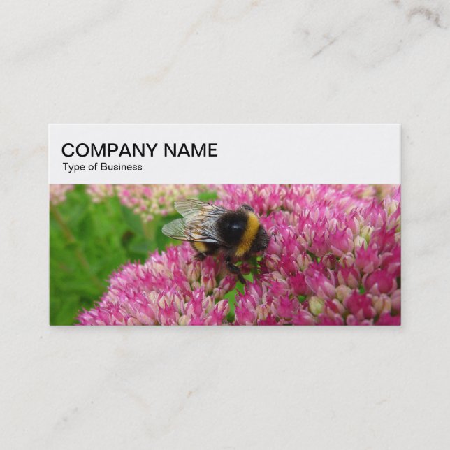 Top Panel - Bumble Bee on Sedum Business Card (Front)