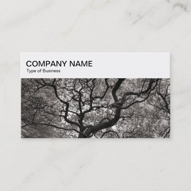 Top Panel - Magnolia Trees Business Card (Front)