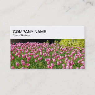 Top Panel - Pink Tulips Business Card