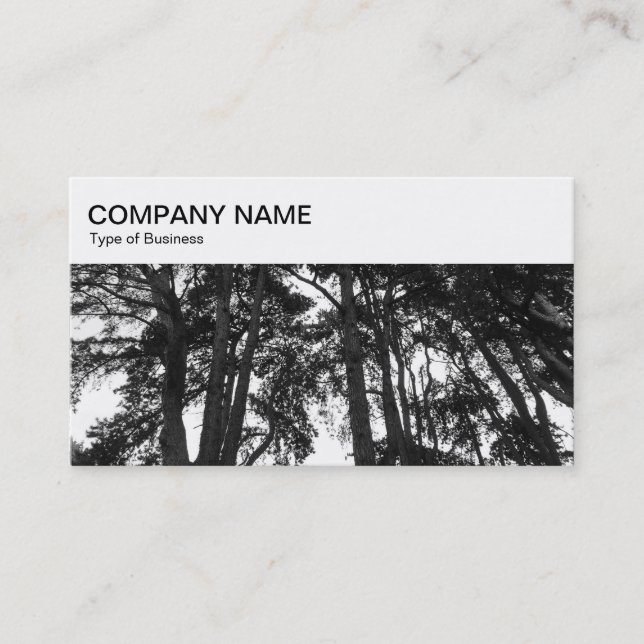 Top Panel - Scott's Pine Trees Business Card (Front)