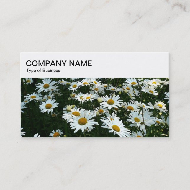 Top Panel - Shasta Daisies Business Card (Front)