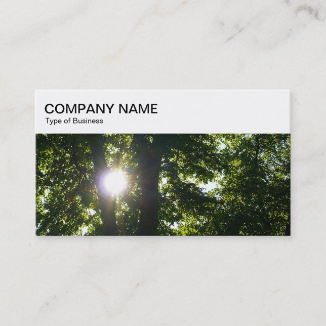 Top Panel - Sun Shining Through Trees Business Car Business Card (Front)