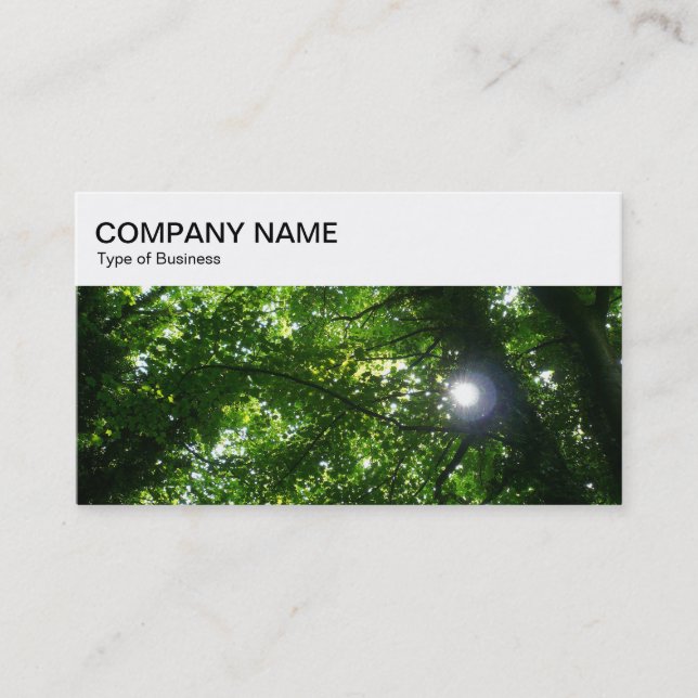 Top Panel - Sun Shining Through Trees Business Car Business Card (Front)