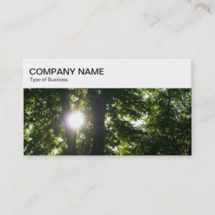Top Panel - Sun Shining Through Trees Business Car Card