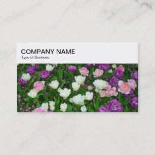 Top Panel - Tulips Business Card