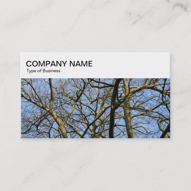 Top Panel - Winter Branches Business Card (Front)