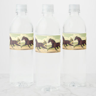TOP Sulky Champ Water Bottle Label