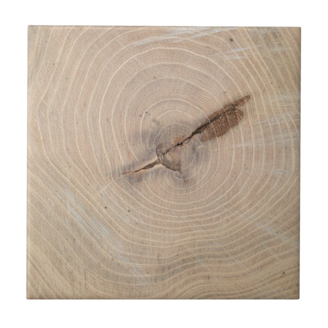 Top view of the annual rings of cut tree closeup tile (Front)