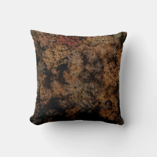 Top-view photography of tree cushion