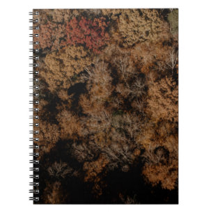 Top-view photography of tree notebook