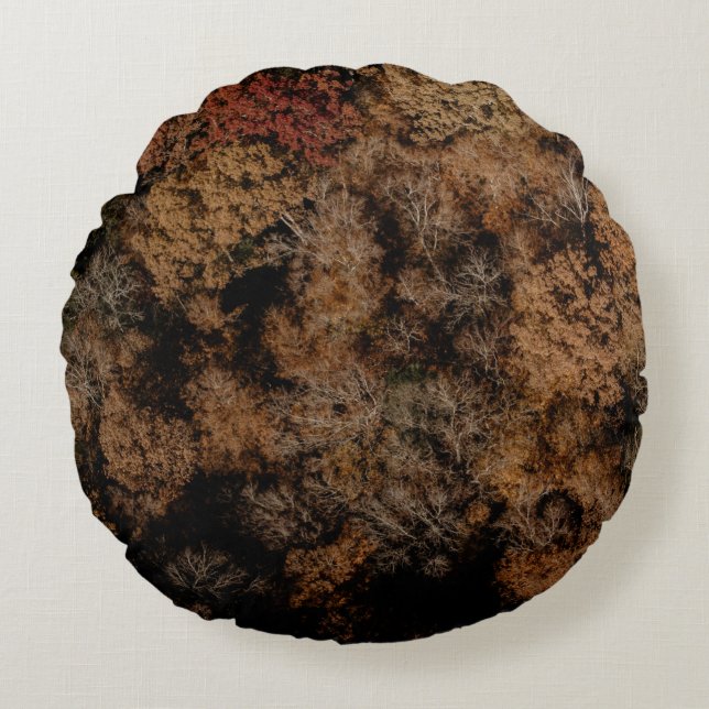 Top-view photography of tree round cushion (Front)