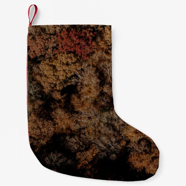 Top-view photography of tree small christmas stocking (Front)