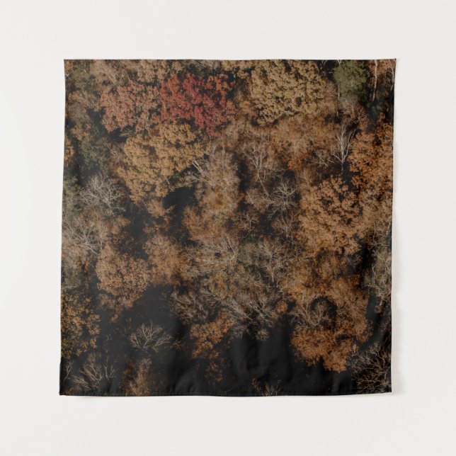 Top-view photography of tree tapestry (Front)
