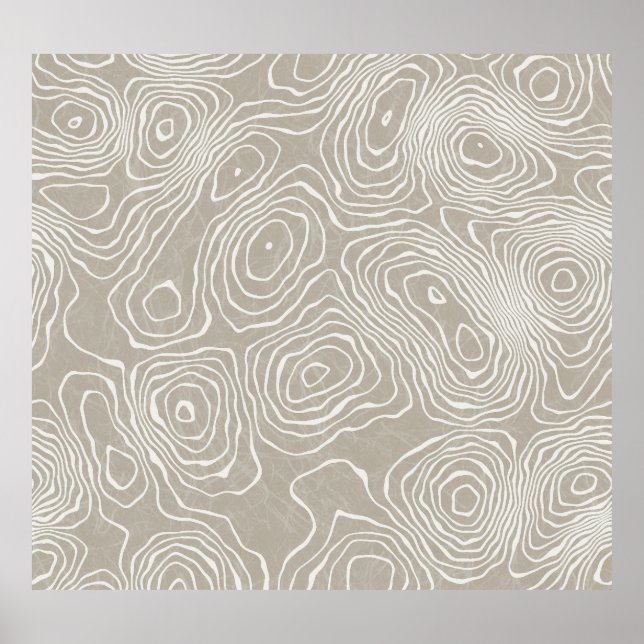 Topographic Earth Lines: Organic Map Poster (Front)
