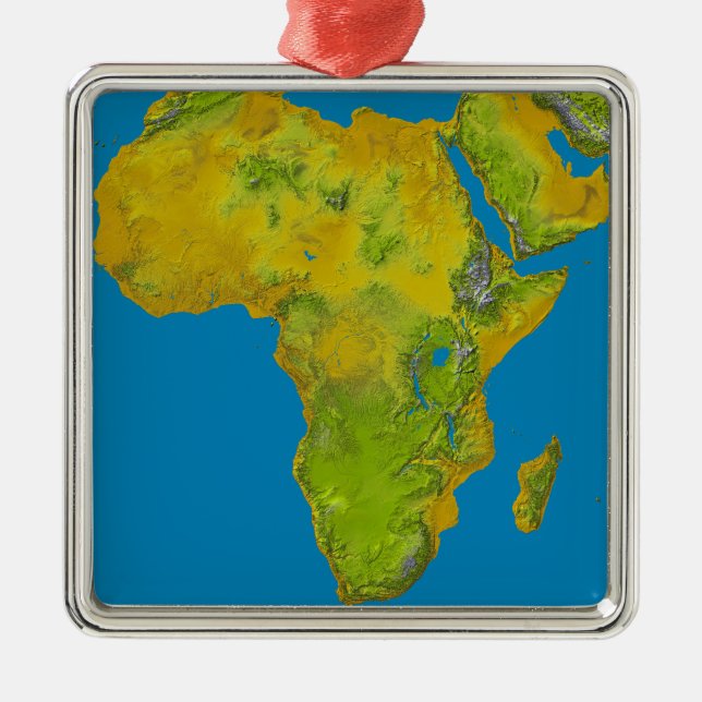 Topographic view of Africa Metal Tree Decoration (Front)