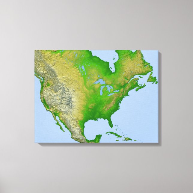Topographic view of North America Canvas Print (Front)