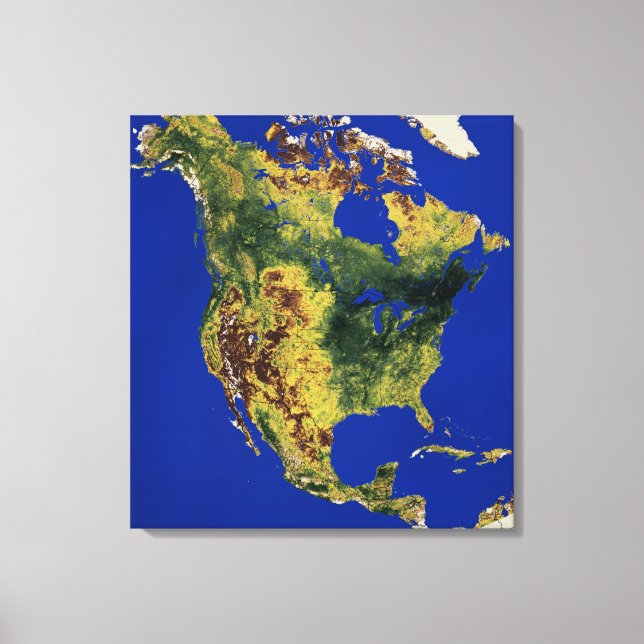 Topographic View of North and Central America Canvas Print (Front)
