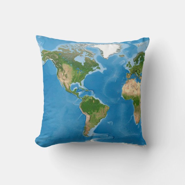 Topographic World Map Earth Illustration Cushion (Front)