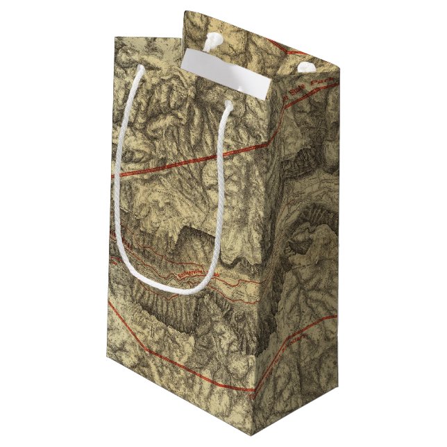 Topographical Map of The Yosemite Valley 2 Small Gift Bag (Back Angled)