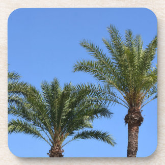 Tops of Palm Trees against the Blue Sky Coaster