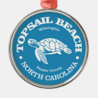 Topsail Beach (sea turtle)