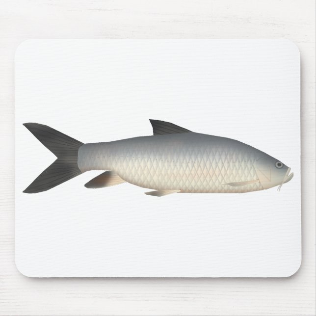 Tor Mahseer Mouse Pad (Front)