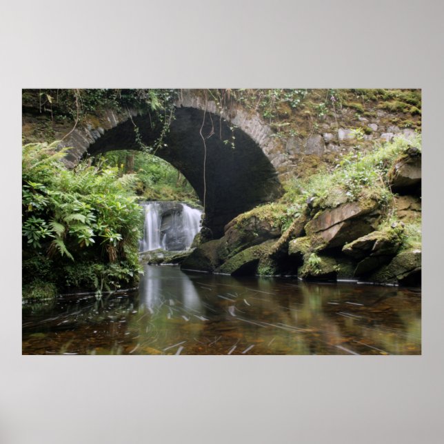 Torc Waterfall Bridge Poster (Front)