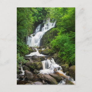 Torc waterfall scenic, Ireland Postcard