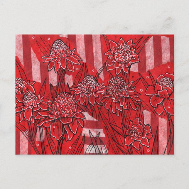 Torch Ginger Lily, Red Flowers Tropical Floral Art Postcard (Front)