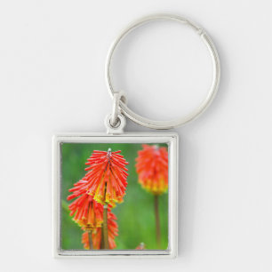 Torch Lily (Kniphofia Uvaria), Western Cape Key Ring
