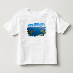 Torea Bay, Queen Charlotte Sound, Marlborough Toddler T-Shirt