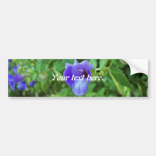 Torenia Bumper Sticker