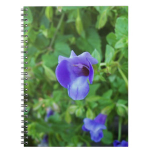 Torenia Spiral Notebook