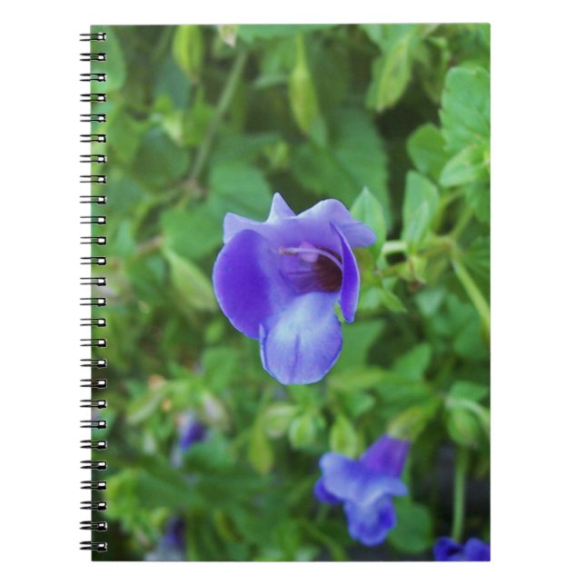 Torenia Spiral Notebook (Front)