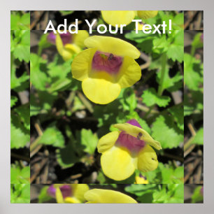 Torenia Yellow Plant Garden Flower Poster