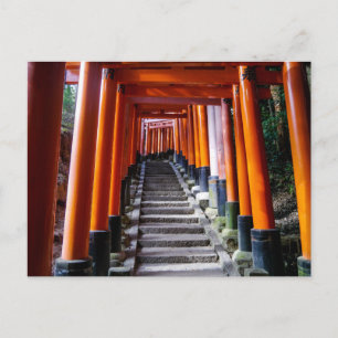 Torii at the Inari Shrine, Kyoto - Postcard