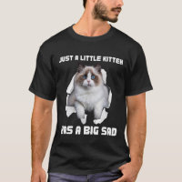 Torn Cloth Snowshoe Birman Himalayan Little Ragdol