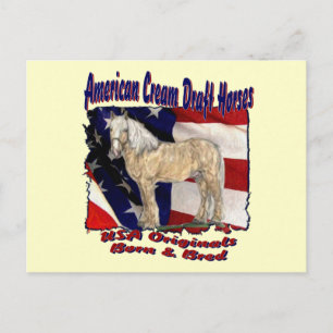 Torn Flag Cream Postcard