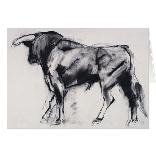 Toro Azul study (Front Horizontal)